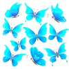 Butterfly Movements Icon Image